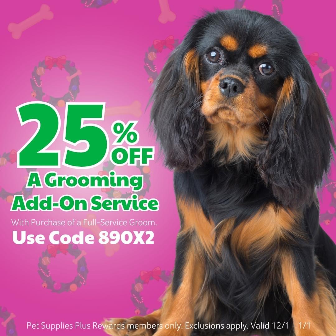 Pamper Your Pup – Save 25% on Grooming Add-Ons! icon