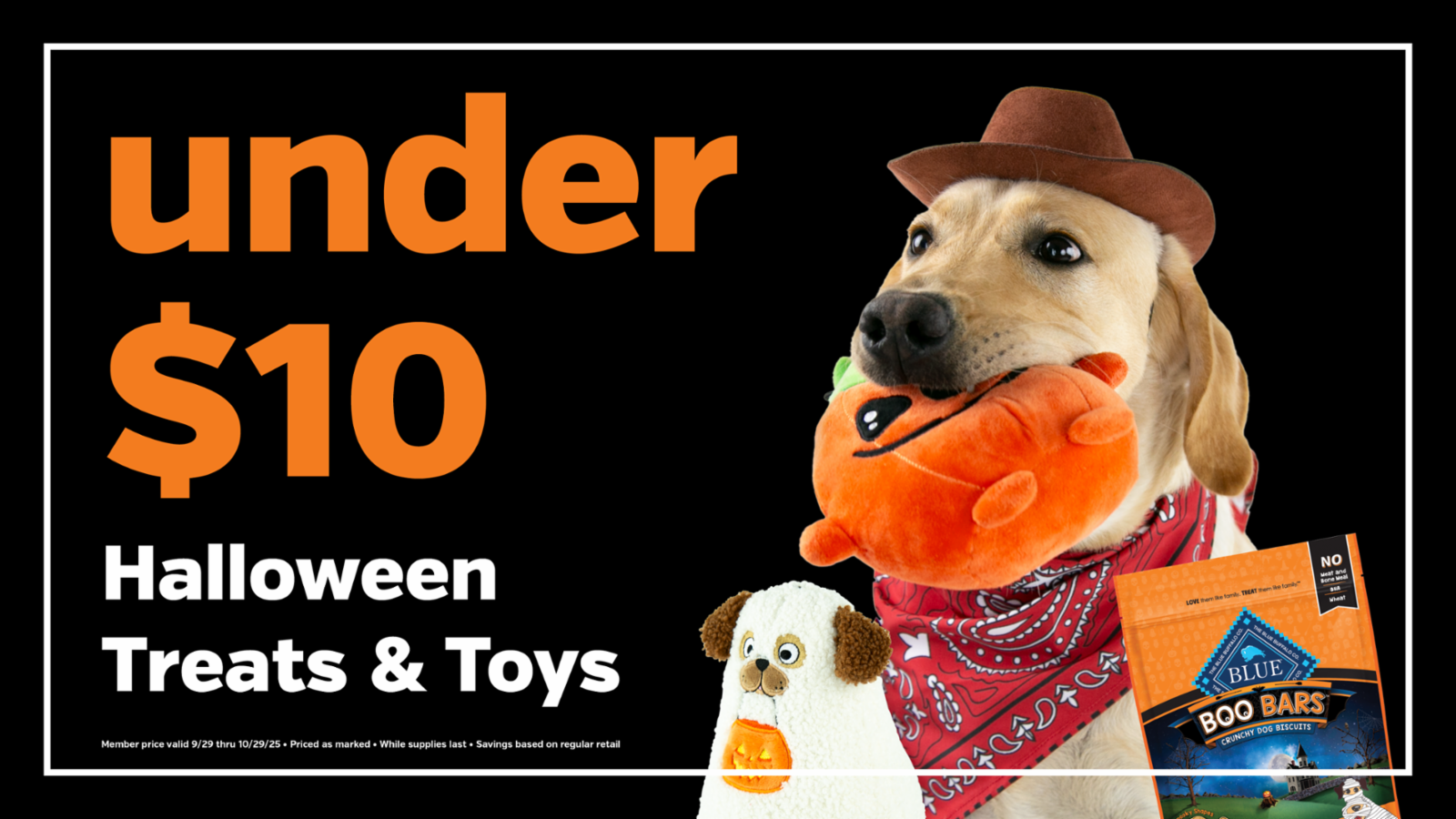 Halloween Treats &amp; Toys Under $10 at Pet Supplies Plus! icon